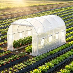 15 x 6.5 x 7 ft Walk-in Greenhouse, Portable Plant Hot House with Galvanized Steel Hoops, 1 Top Beam & Diagonal Poles, Zippered Door & 8 Roll-up (Option: 21650805)